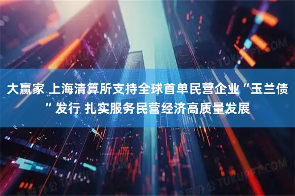 大赢家 上海清算所支持全球首单民营企业“玉兰债”发行 扎实服务民营经济高质量发展