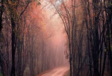 股票行情怎么样:做手机的股票有哪些-融资余额创A股历史新高 连续20个交易日突破2万亿 市场情绪持续活跃